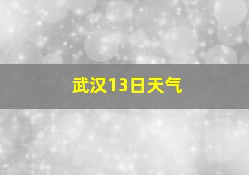 武汉13日天气