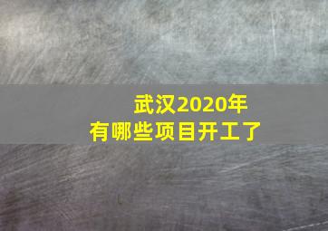 武汉2020年有哪些项目开工了