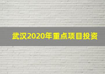 武汉2020年重点项目投资