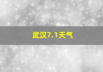 武汉7.1天气