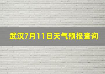 武汉7月11日天气预报查询