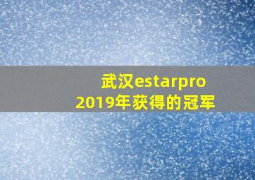 武汉estarpro2019年获得的冠军