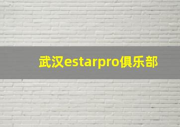 武汉estarpro俱乐部