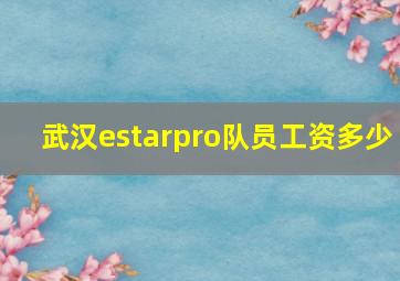 武汉estarpro队员工资多少