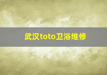 武汉toto卫浴维修