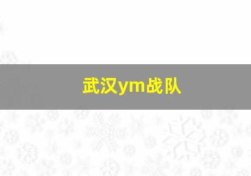 武汉ym战队