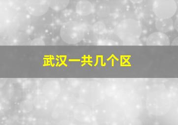 武汉一共几个区