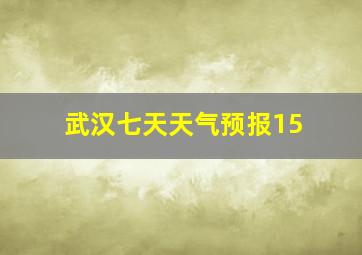 武汉七天天气预报15