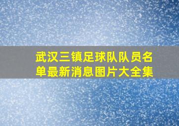 武汉三镇足球队队员名单最新消息图片大全集