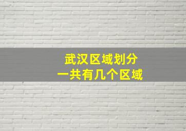 武汉区域划分一共有几个区域