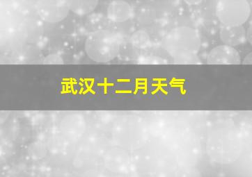 武汉十二月天气