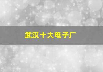 武汉十大电子厂