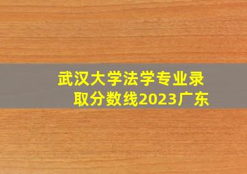 武汉大学法学专业录取分数线2023广东