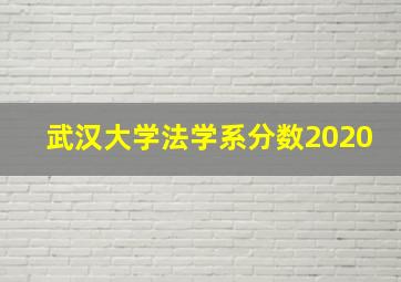 武汉大学法学系分数2020