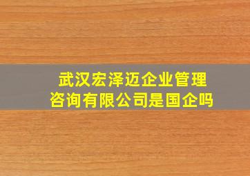 武汉宏泽迈企业管理咨询有限公司是国企吗