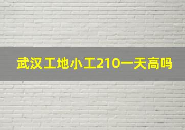 武汉工地小工210一天高吗