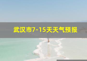 武汉市7-15天天气预报