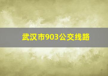 武汉市903公交线路