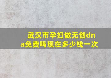 武汉市孕妇做无创dna免费吗现在多少钱一次