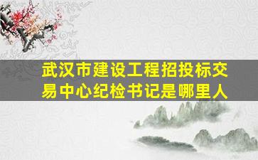 武汉市建设工程招投标交易中心纪检书记是哪里人