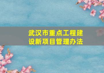 武汉市重点工程建设新项目管理办法