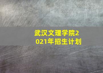 武汉文理学院2021年招生计划