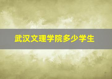 武汉文理学院多少学生