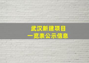 武汉新建项目一览表公示信息