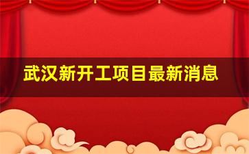 武汉新开工项目最新消息