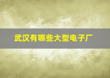 武汉有哪些大型电子厂