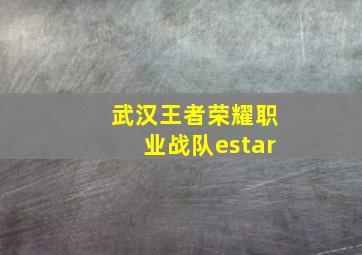 武汉王者荣耀职业战队estar