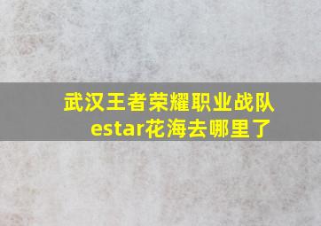 武汉王者荣耀职业战队estar花海去哪里了