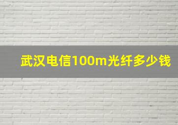 武汉电信100m光纤多少钱