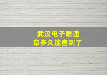 武汉电子眼违章多久能查到了