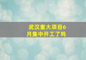 武汉重大项目6月集中开工了吗