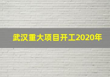 武汉重大项目开工2020年