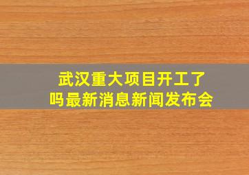 武汉重大项目开工了吗最新消息新闻发布会