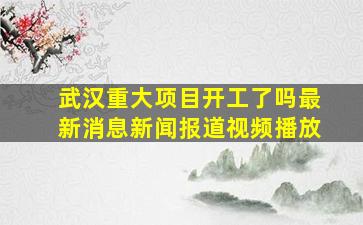 武汉重大项目开工了吗最新消息新闻报道视频播放