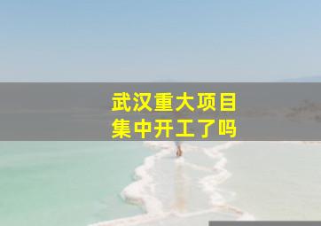 武汉重大项目集中开工了吗