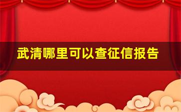 武清哪里可以查征信报告