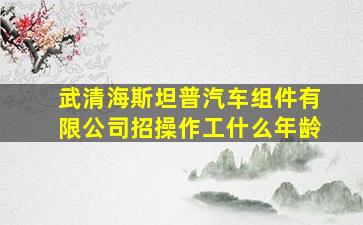 武清海斯坦普汽车组件有限公司招操作工什么年龄