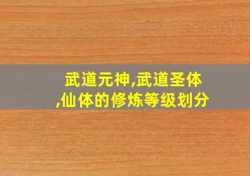 武道元神,武道圣体,仙体的修炼等级划分