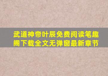 武道神帝叶辰免费阅读笔趣阁下载全文无弹窗最新章节