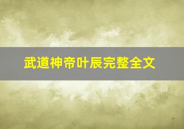 武道神帝叶辰完整全文