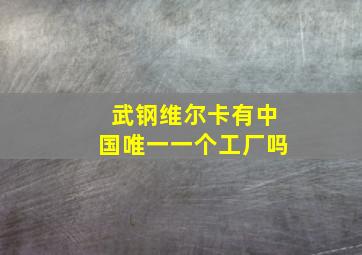 武钢维尔卡有中国唯一一个工厂吗