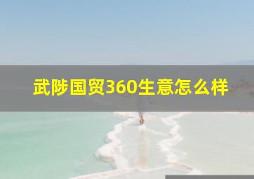 武陟国贸360生意怎么样