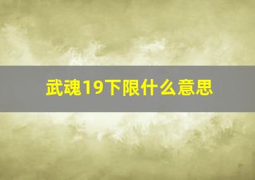 武魂19下限什么意思