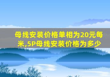 母线安装价格单相为20元每米,5P母线安装价格为多少