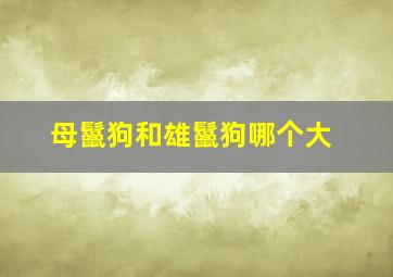 母鬣狗和雄鬣狗哪个大