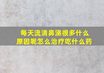 每天流清鼻涕很多什么原因呢怎么治疗吃什么药